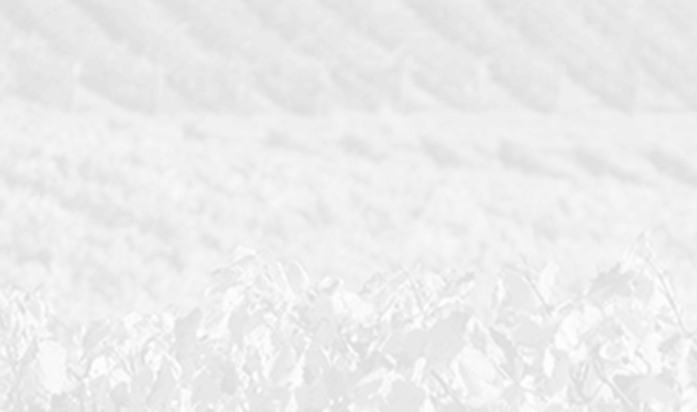 Wine estate DUHR Fr&egrave;res