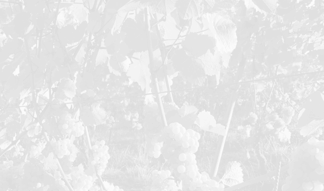 Duhr Fr&egrave;res - Clos Mon Vieux Moulin