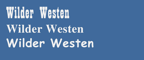 Wilder Westen