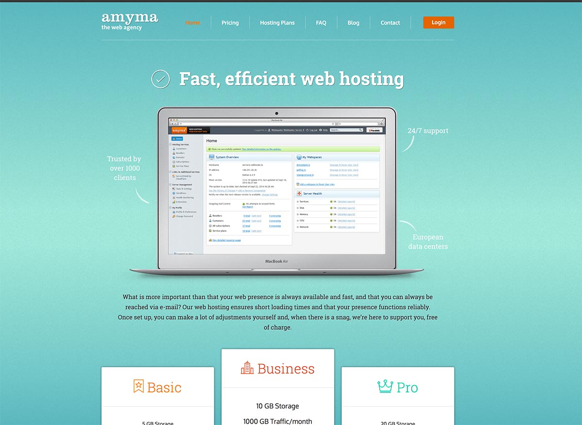 Professional web host Professional web host